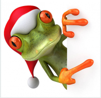 3d-Christmas-Frog-achter-bordf275db202d4845d3.png